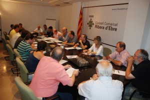 Ple Consell Comarcal Ribera d'Ebre 30-9-2013